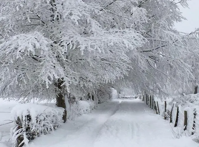 Casa de Férias Mone Monschau